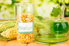 Deptford biofuel availability