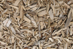 biomass boilers Deptford